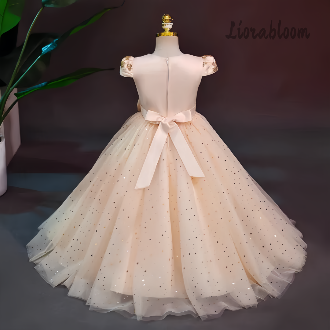 Formal Multicolor Evening Gown - Women Formal Wear Dress recensie en prijs
