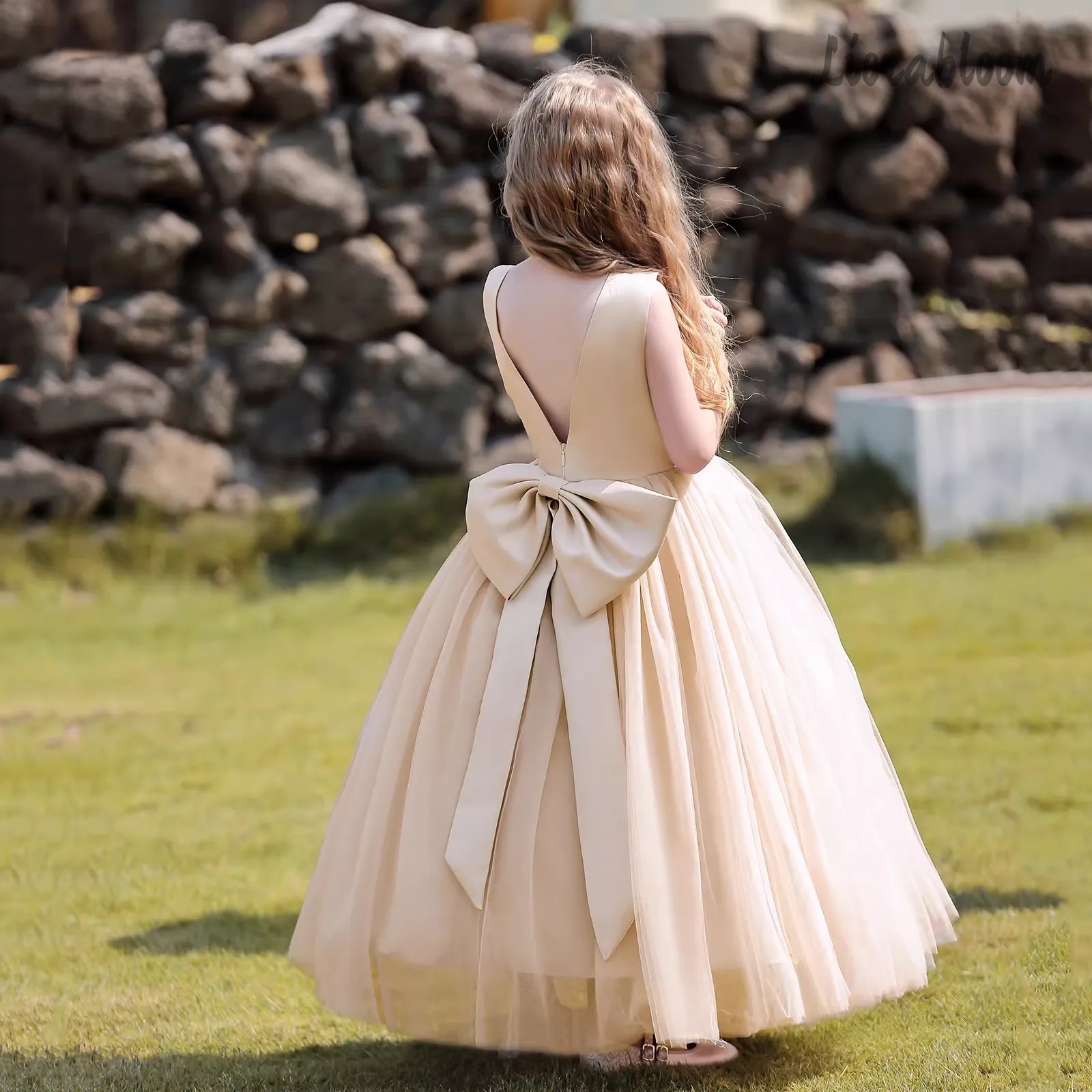 Multicolor Backless Princess D - Women Formal Wear Dress recensie en prijs